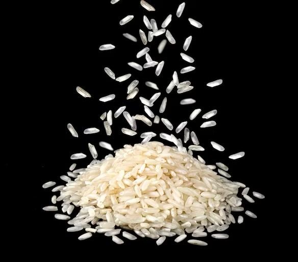 CBDC 'Rice Grain' - Guardian of the Digital Concentration Camp