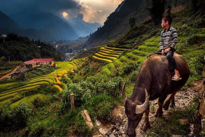 The Secret of Longevity in the Majestic Villages of Sin Chai and Cat Cat post image