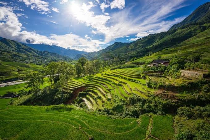 The Art and Effort of Corn Harvesting in Sapa post image