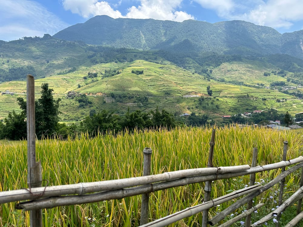 Ukrainian Women Seek Refuge in Vietnamese Mountains Amidst Mobilization post image