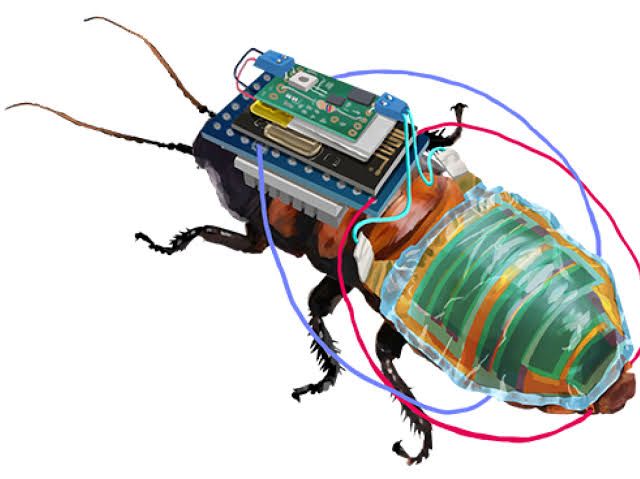 Cockroaches Turned Cyborgs: An Unlikely Tale of Tiny Lifesavers and Environmental Guardians